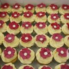 cupcakes-1228